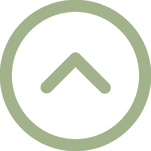 WhatsApp Icon